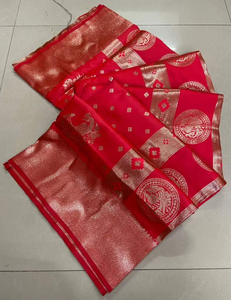 WhatsApp Image 2026-04-12 at 11.21.06 AM.webp